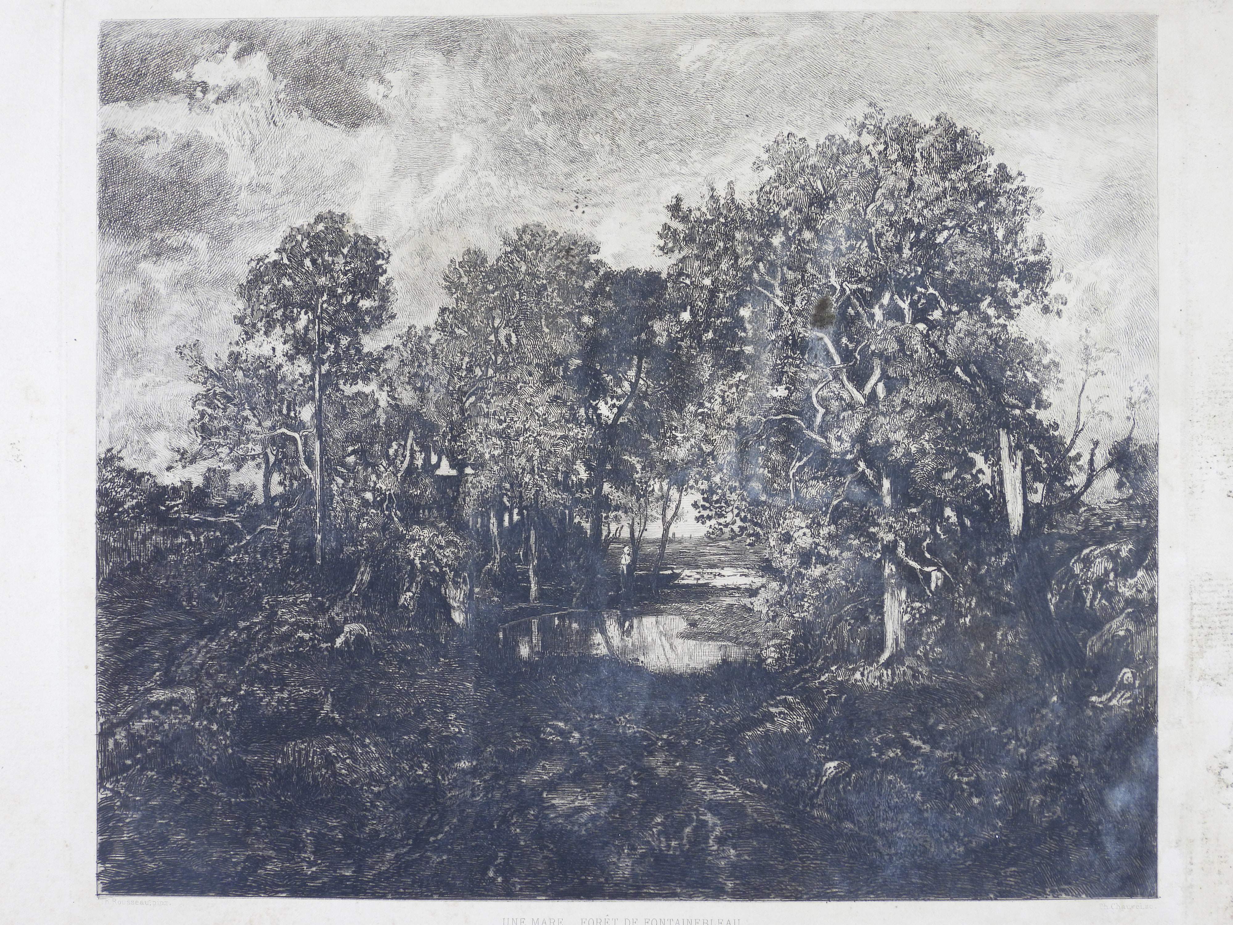 Une mare, forêt de Fontainebleau