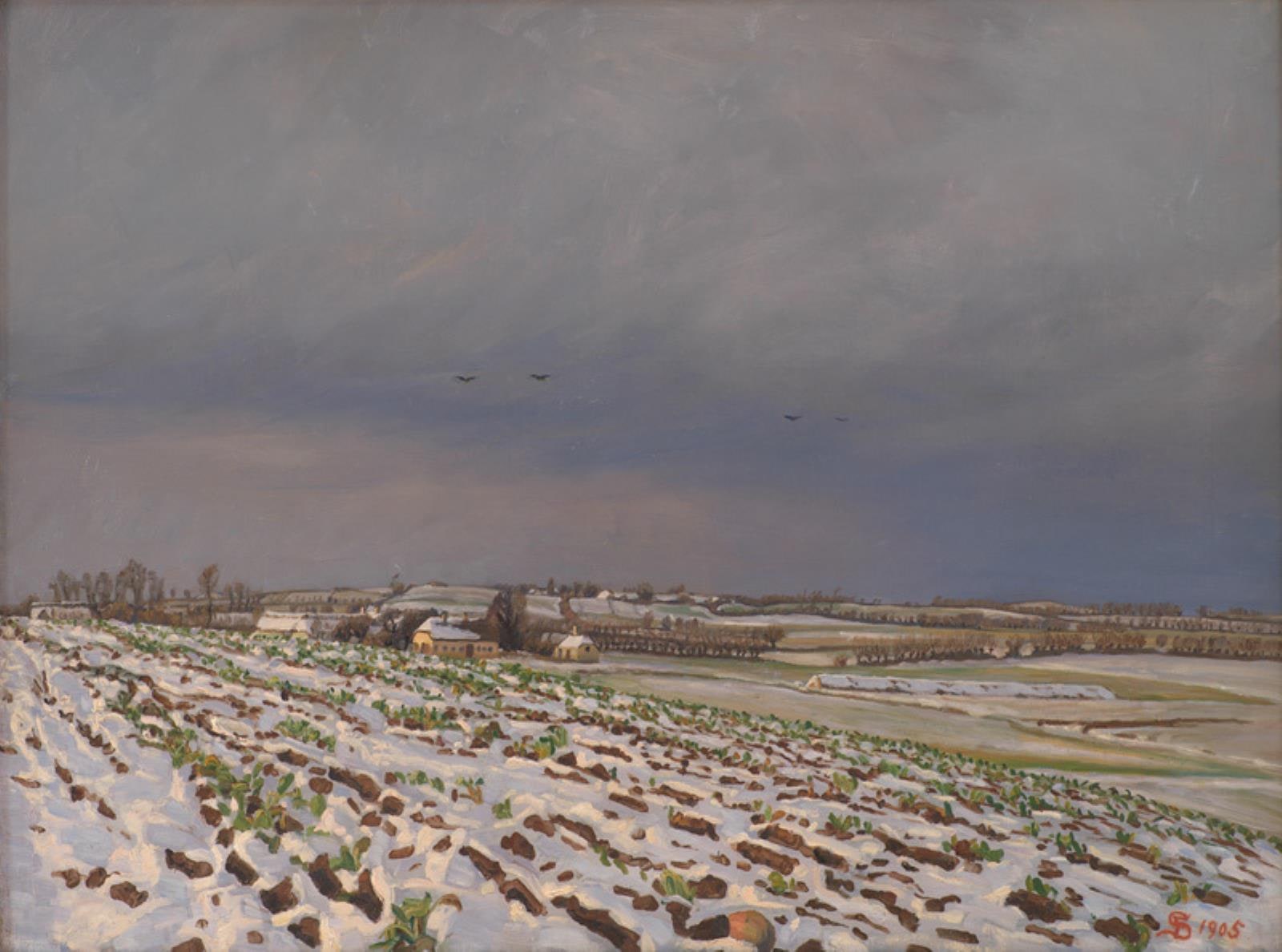 Den første sne