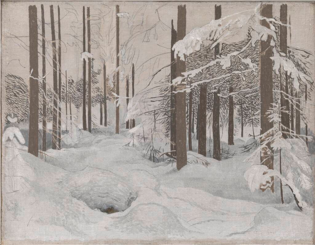 Granskov, vinter med sne