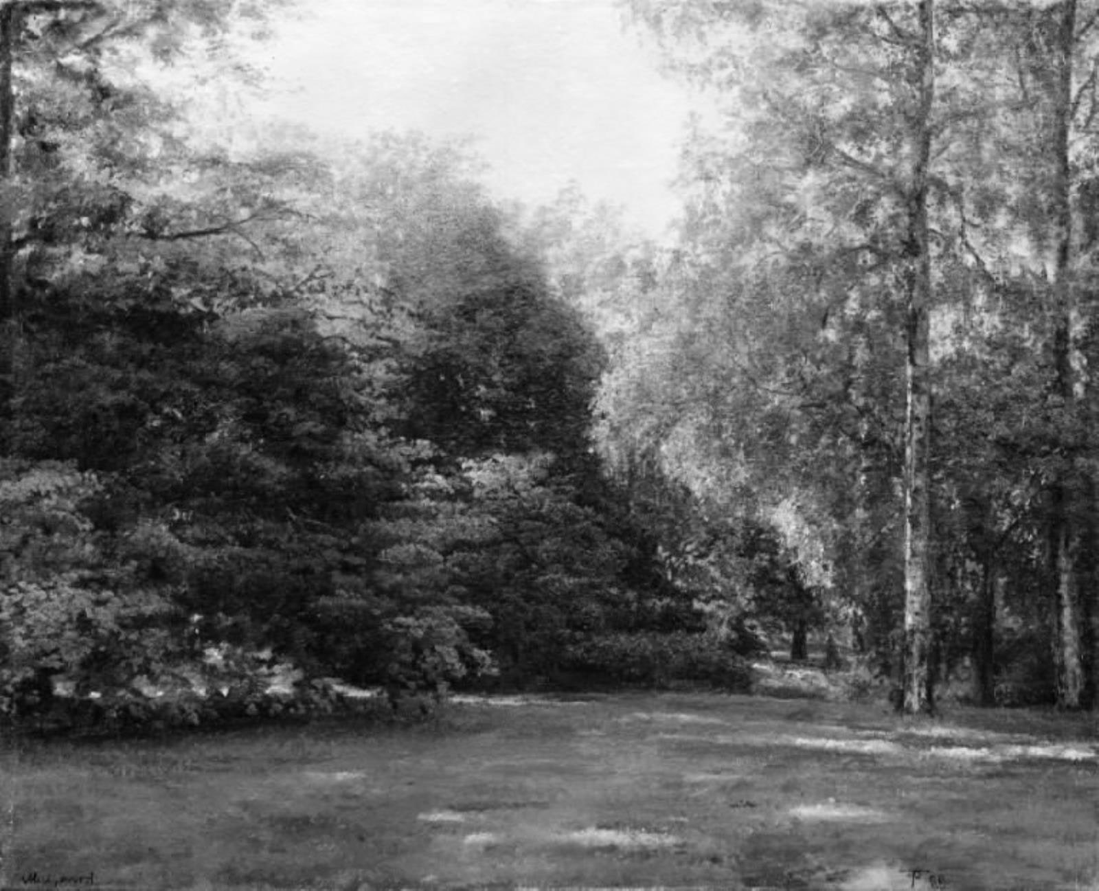 Park med høje træer