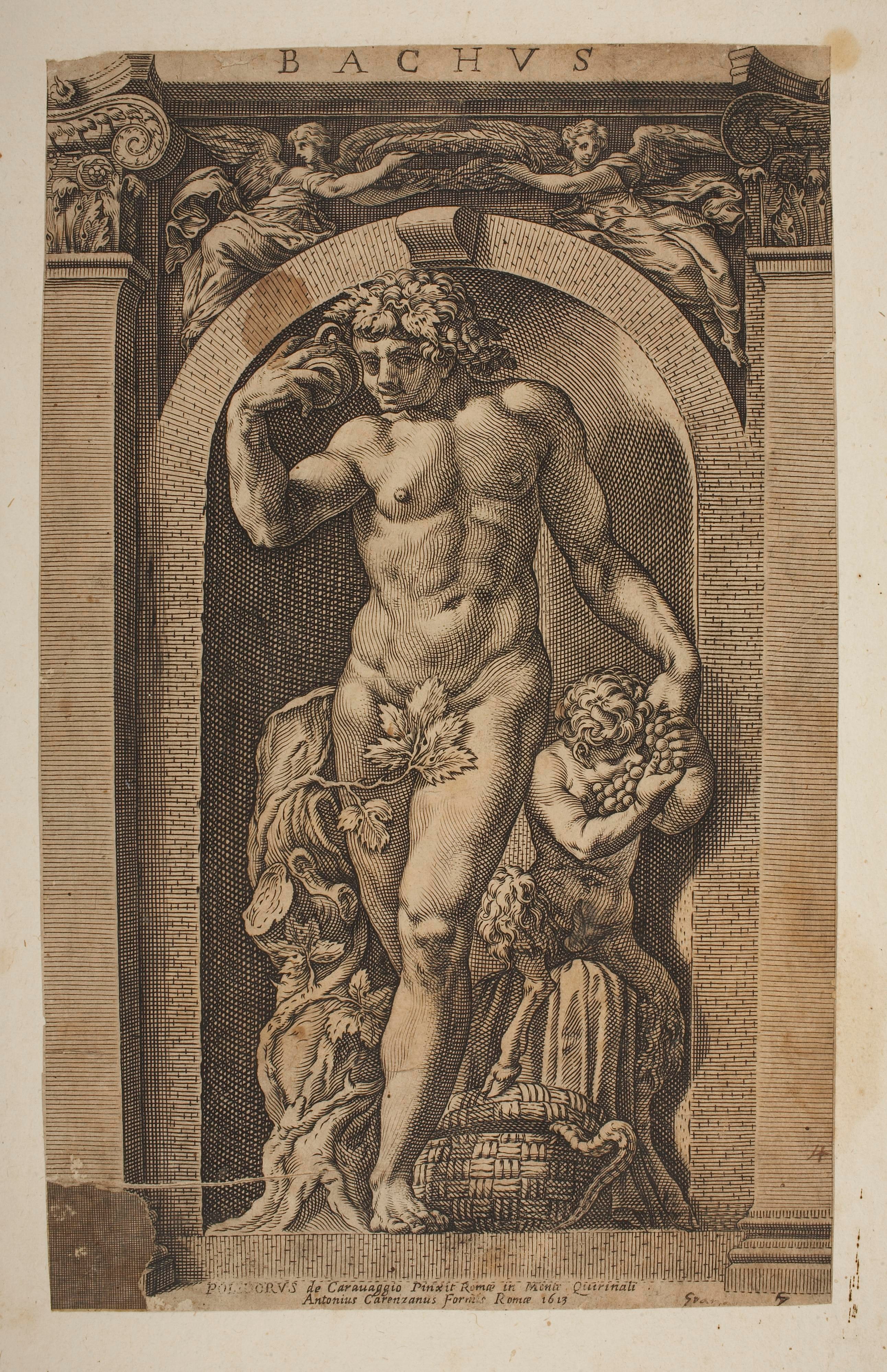 Bacchus