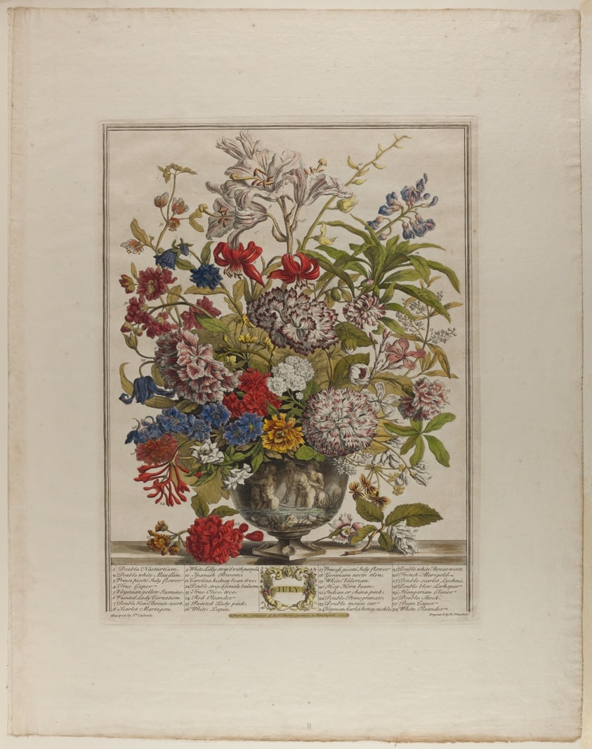 July, from Twelve Months of Flowers