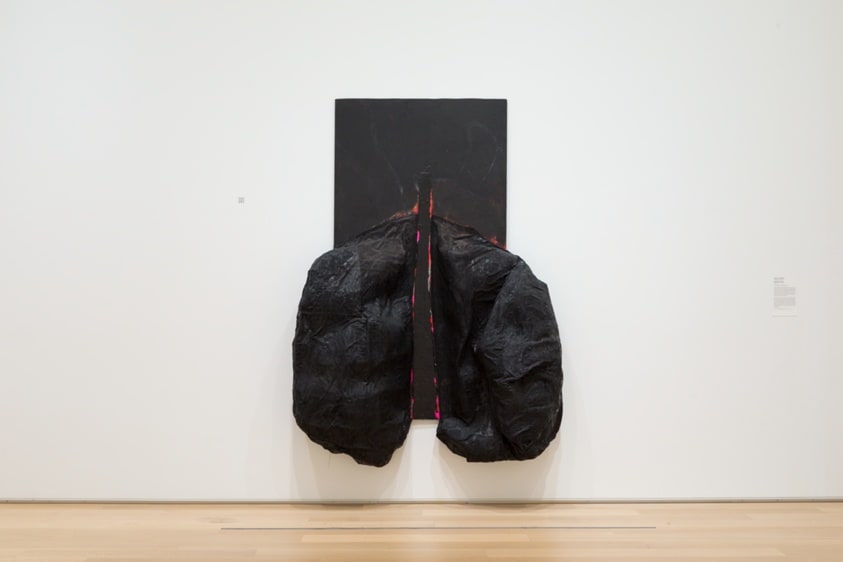 Untitled (lungs)