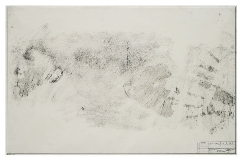 Study for "Skin II"