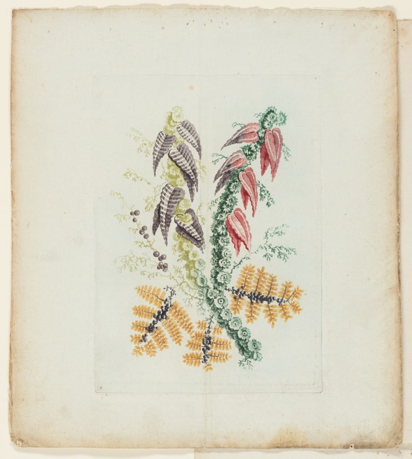 Plate, from New Suite of Notebooks of Ideal Flowers for Use by Draftsmen and Painters