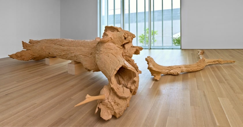 Hinoki