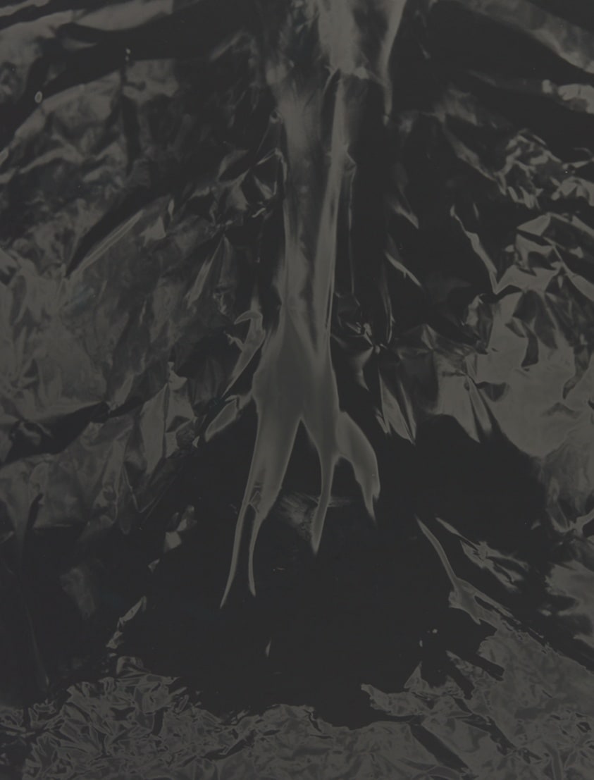 Untitled (Solarization)