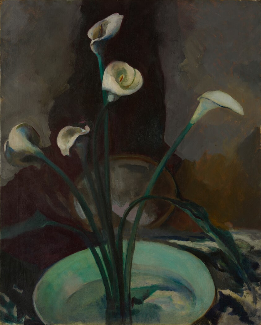 Calla Lilies