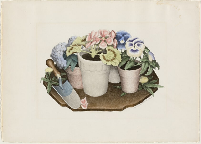 Tame Flowers