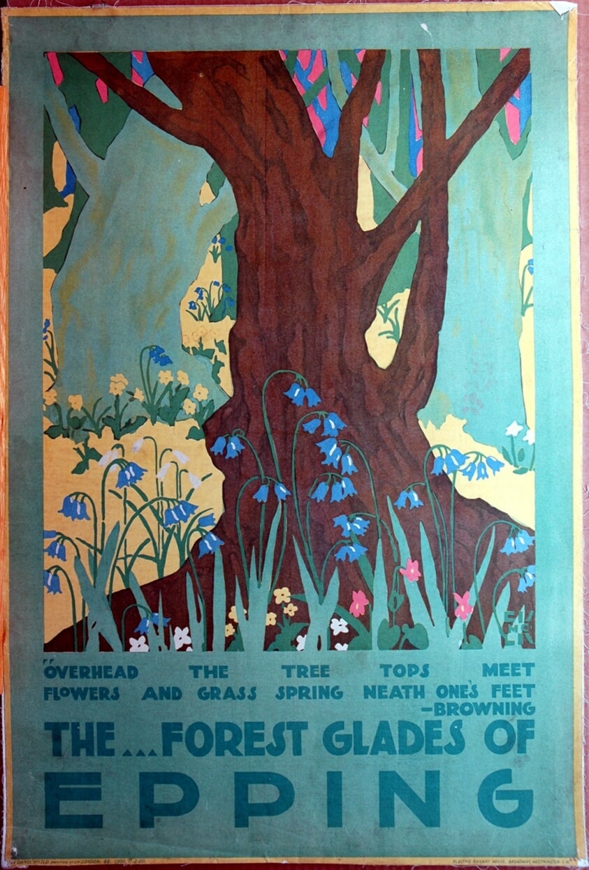 The Forest Glades of Epping