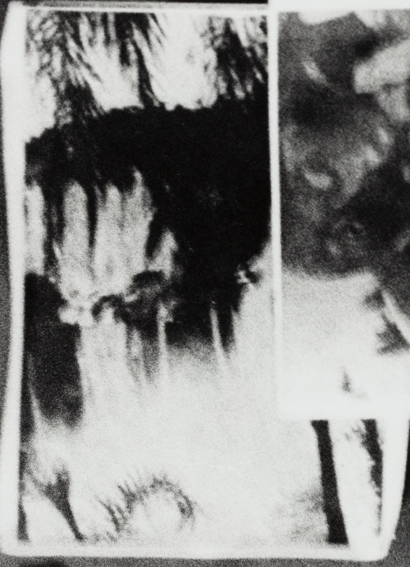 Untitled [from Circulation, October 12 #7]
