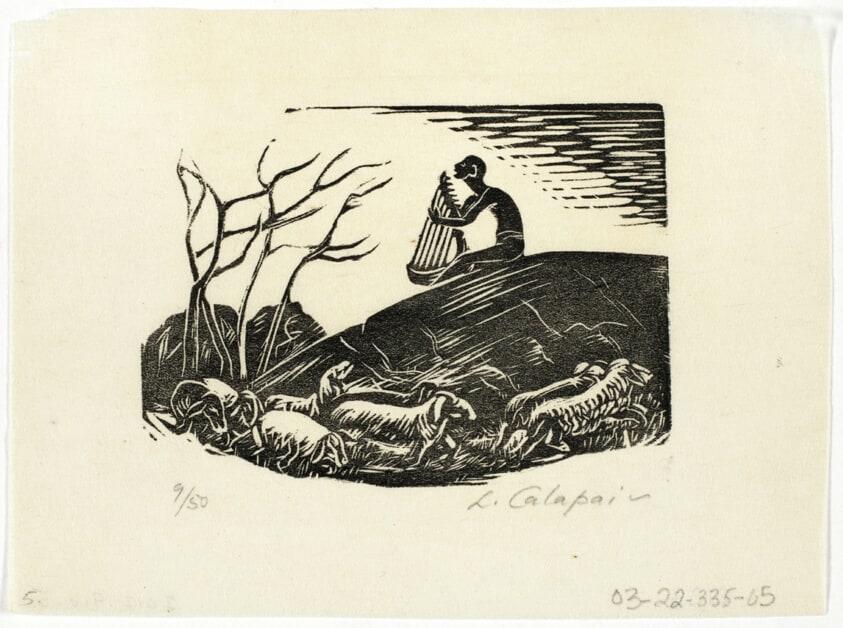 David the Shepherd