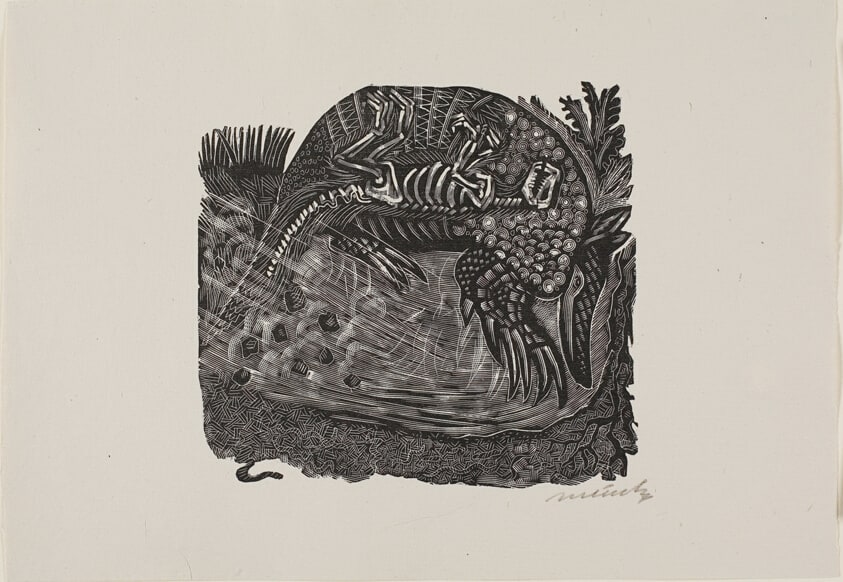 The Armadillo Completes his Task, plate 5 from Mendez: 25 Prints