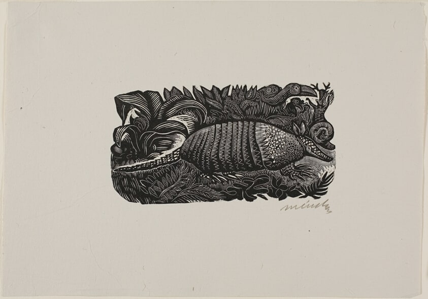 The Armadillo, plate 3 from Méndez: 25 Prints
