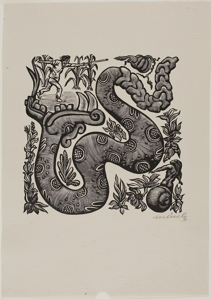 Rattlesnake, plate 1 from Méndez: 25 Prints