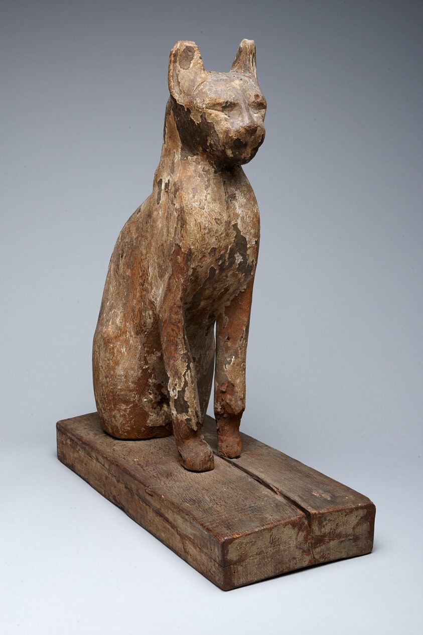 Cat Coffin