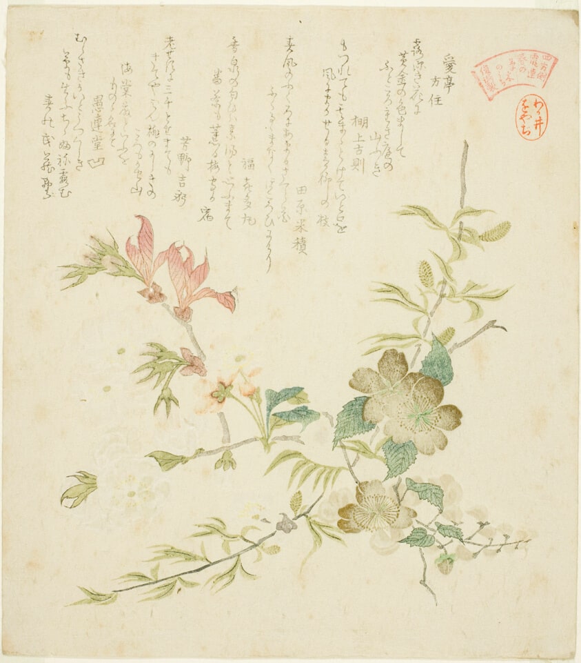 Various Spring Flowers, from the series "Springtime Plants and Trees for the Kasumi Poetry Circle of the Yomo Group (Yomogawa Kasumi-ren haru no kusaki no uchi)"