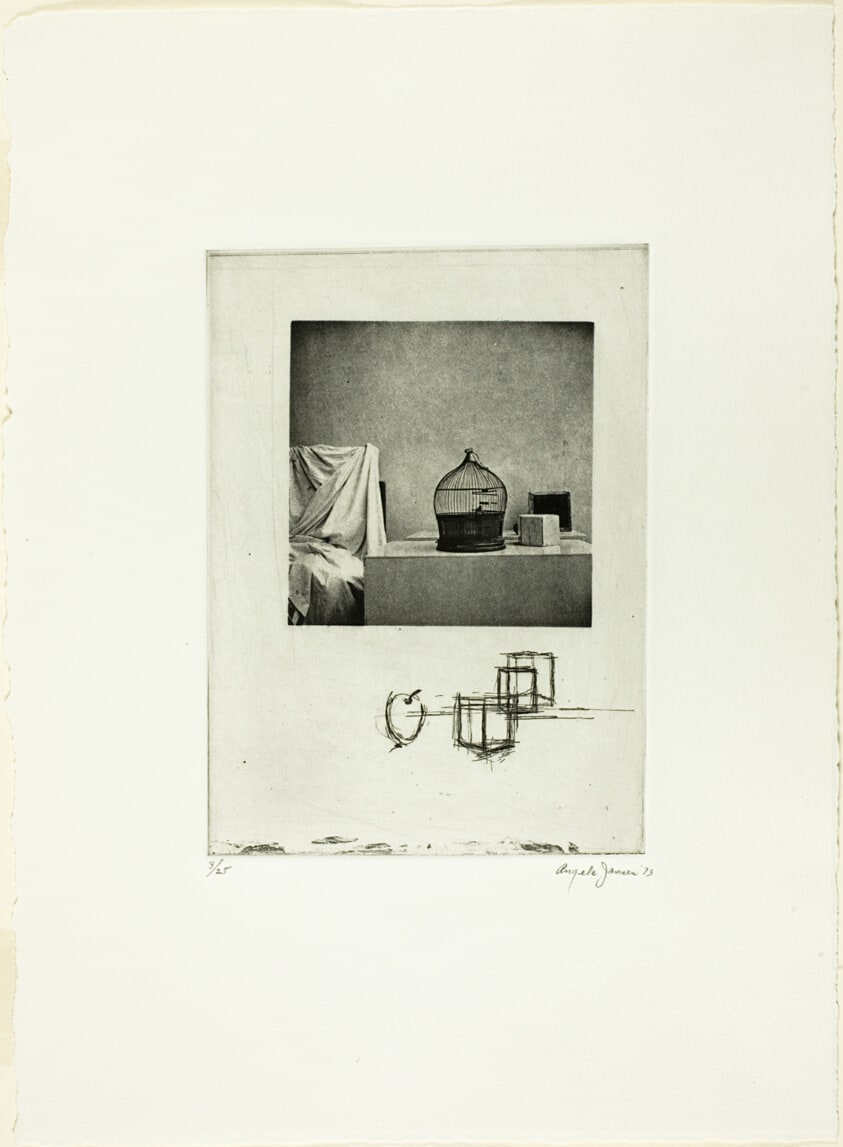 Birdcage, from The Academy