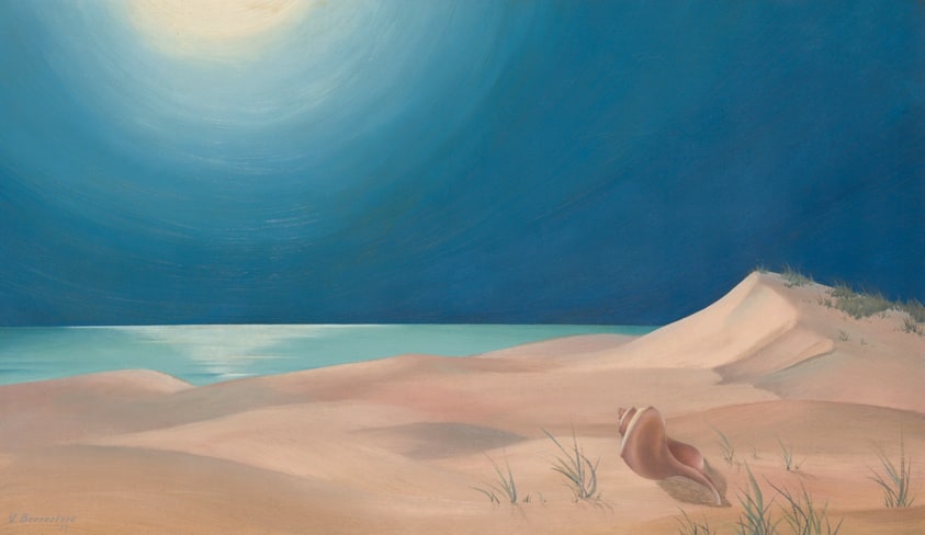 Dune with Shell