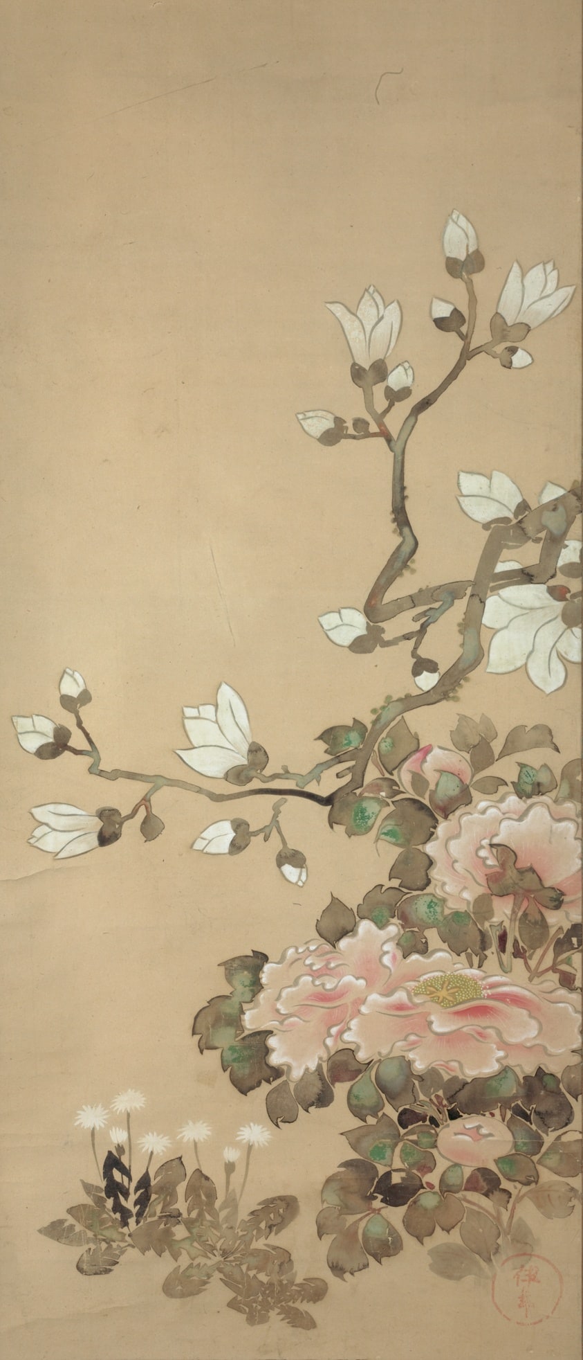 Peonies, Magnolia, and Dandelions