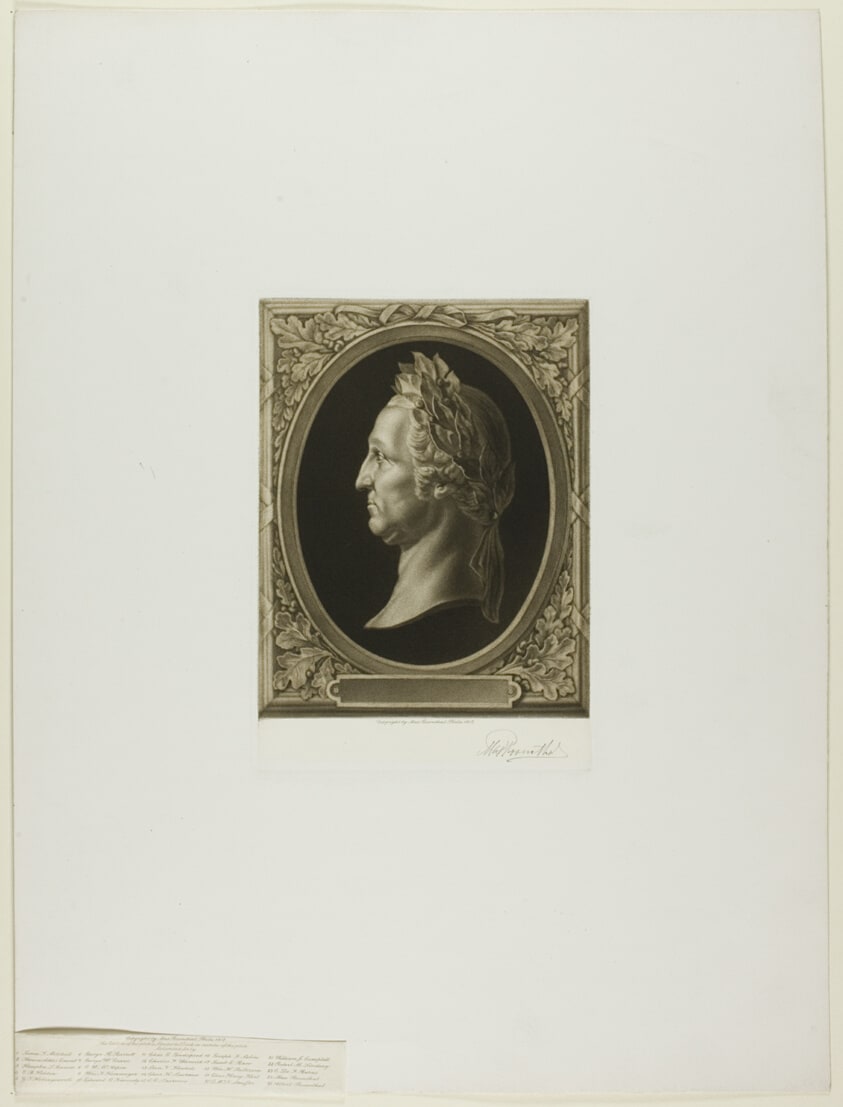 Man in Profile
