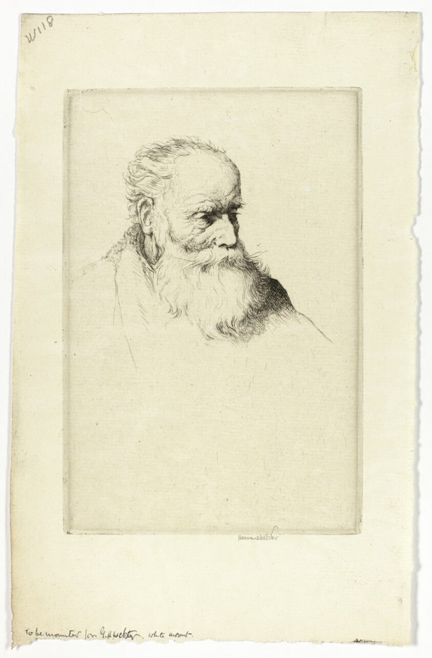 Head of an Old Man