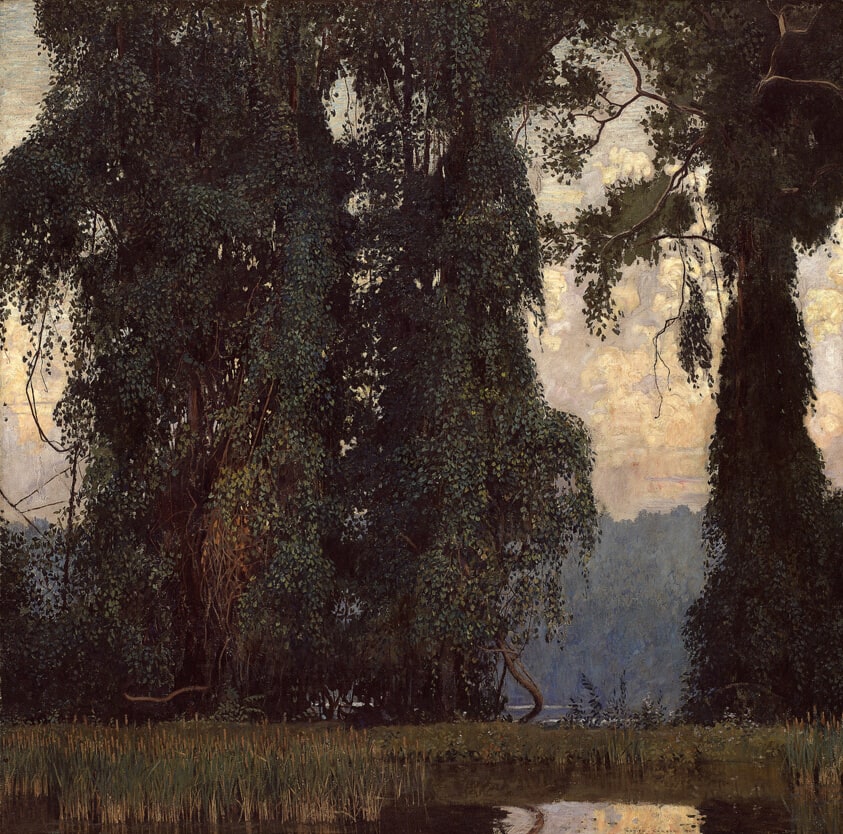 Towering Trees