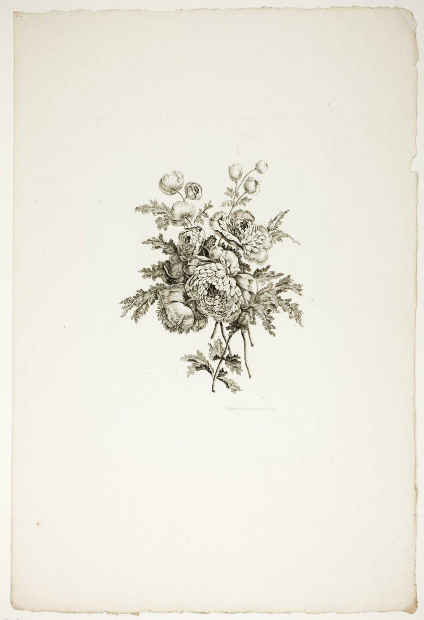 Bouquet with Peonies, from Recueil de differents bouquets de fleurs