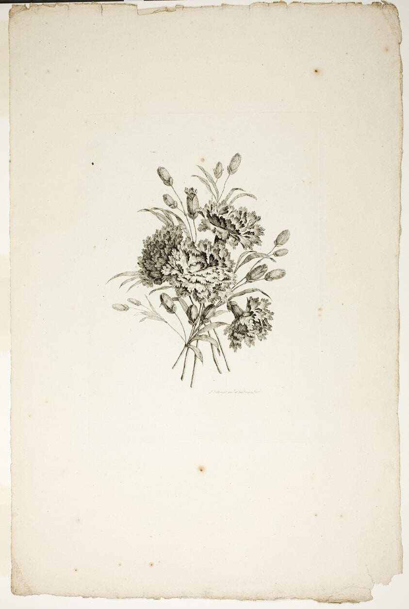 Bouquet with Carnations, from Recueil de differents bouquets de fleurs
