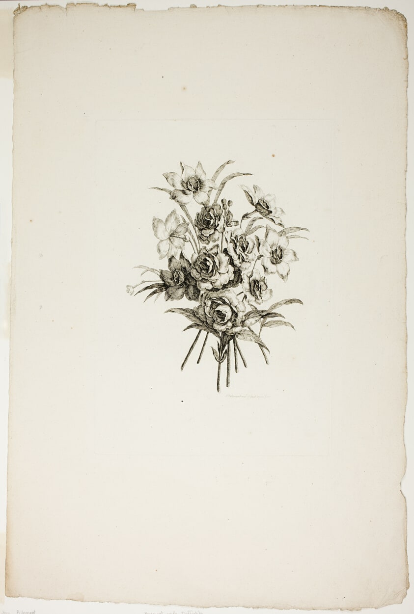 Bouquet with Daffodils, from Recueil de differents bouquets de fleurs