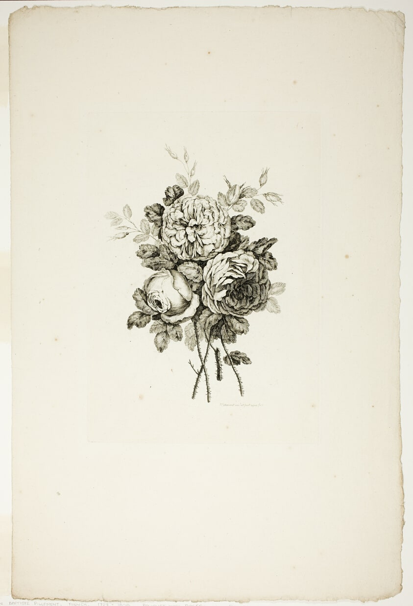 Bouquet with Roses, from Recueil de differents bouquets de fleurs