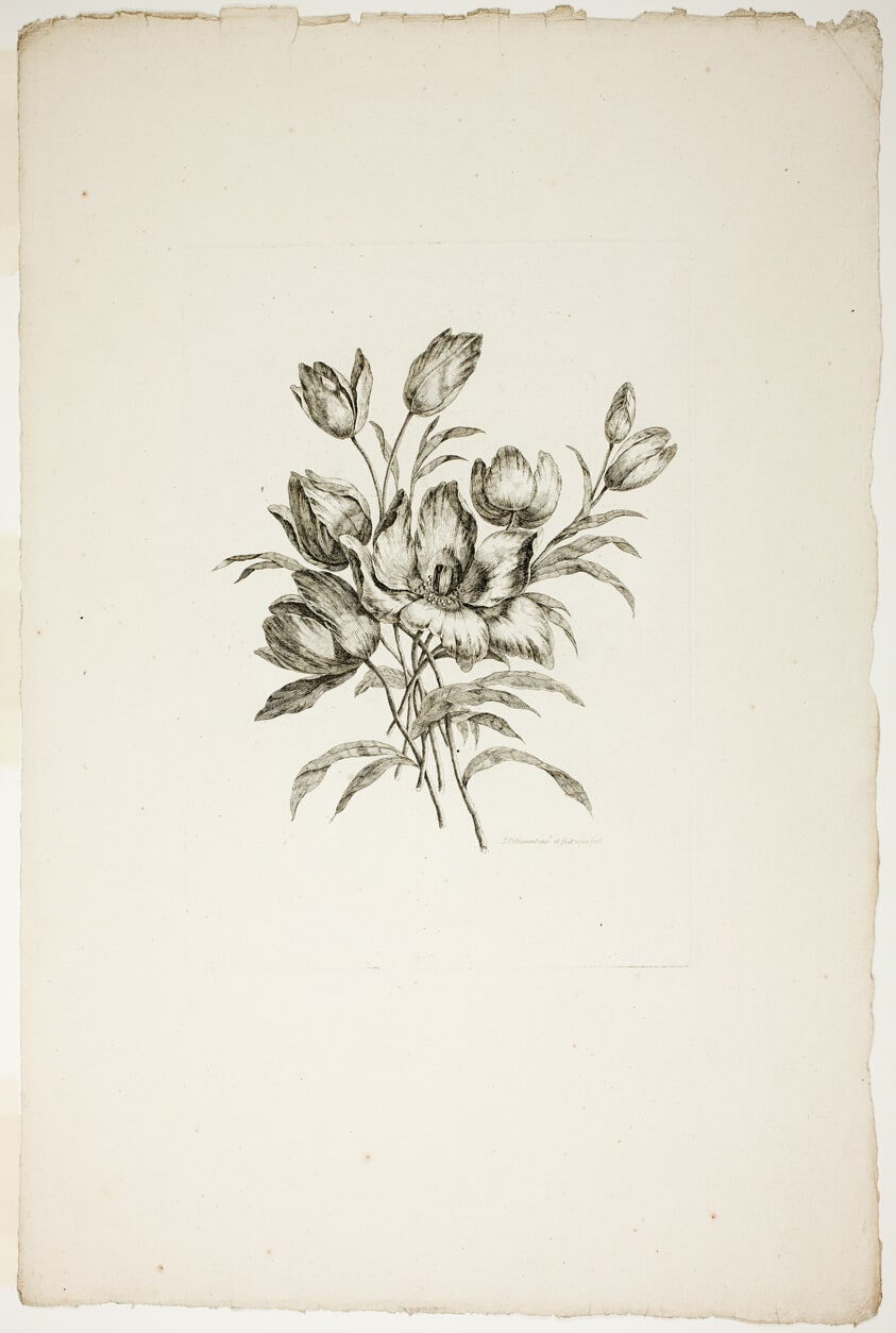 Bouquet with Tulips, from Recueil de differents bouquets de fleurs