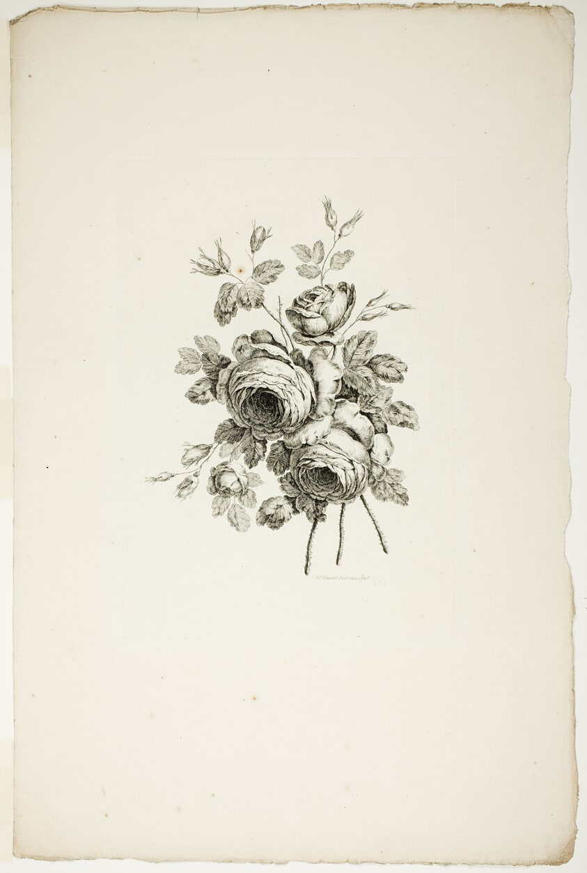 Bouquet with Roses, from Recueil de differents bouquets de fleurs