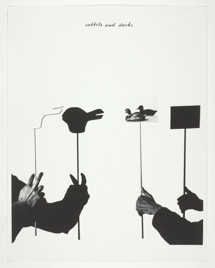 Rabbits and Ducks