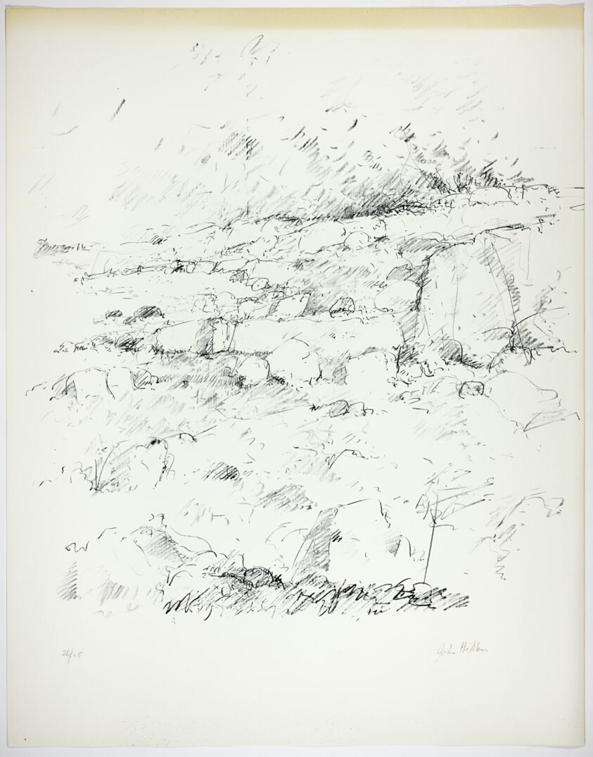 Rocky Landscape