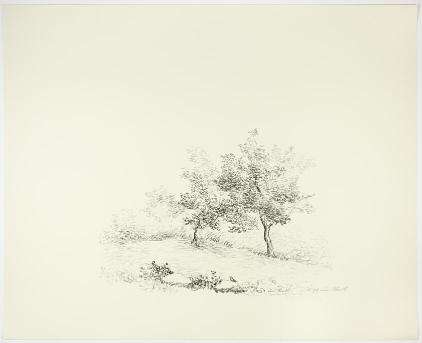 Two Trees