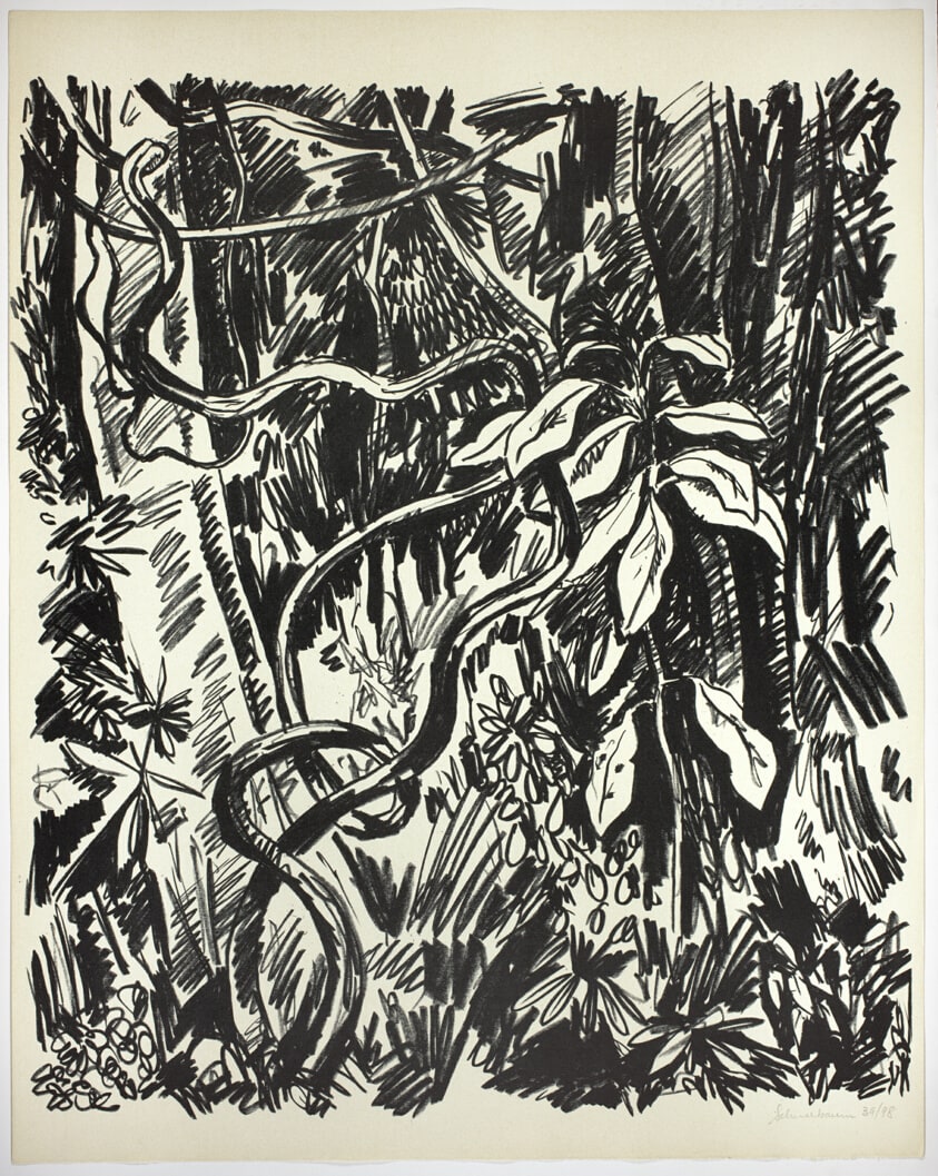 Jungle (Black)