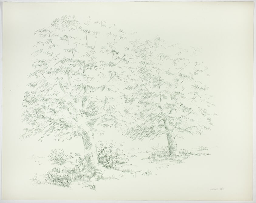Two Trees