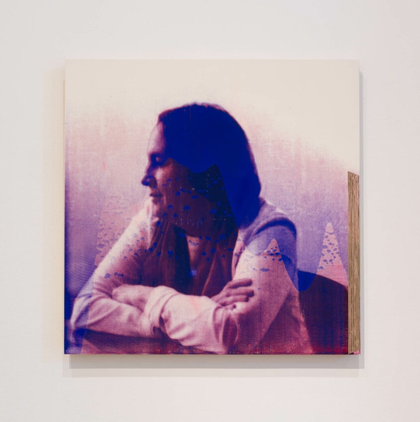 Passing Through the Opposite of What It Approaches, Chapter 25 (Portrait of Anne Rorimer)