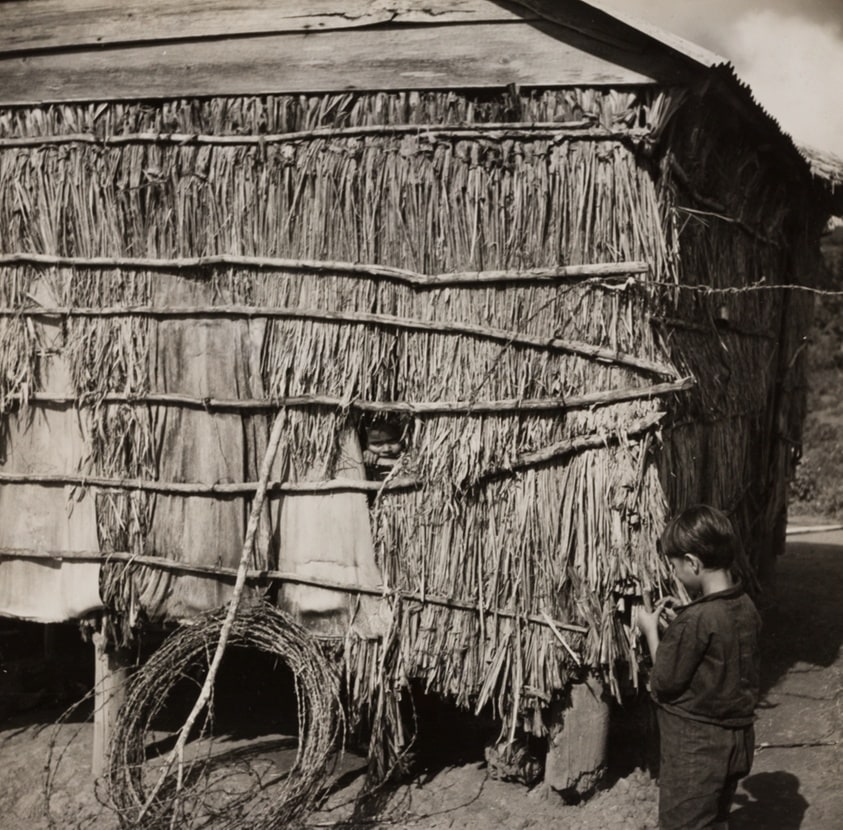 Jibaro Hut Near Cidra, Puerto Rico