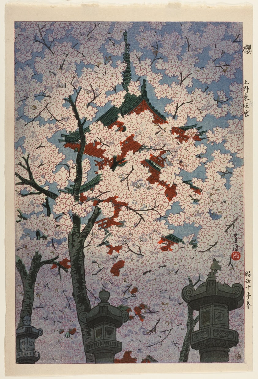 Blooming Cherry at Toshogu Shrine