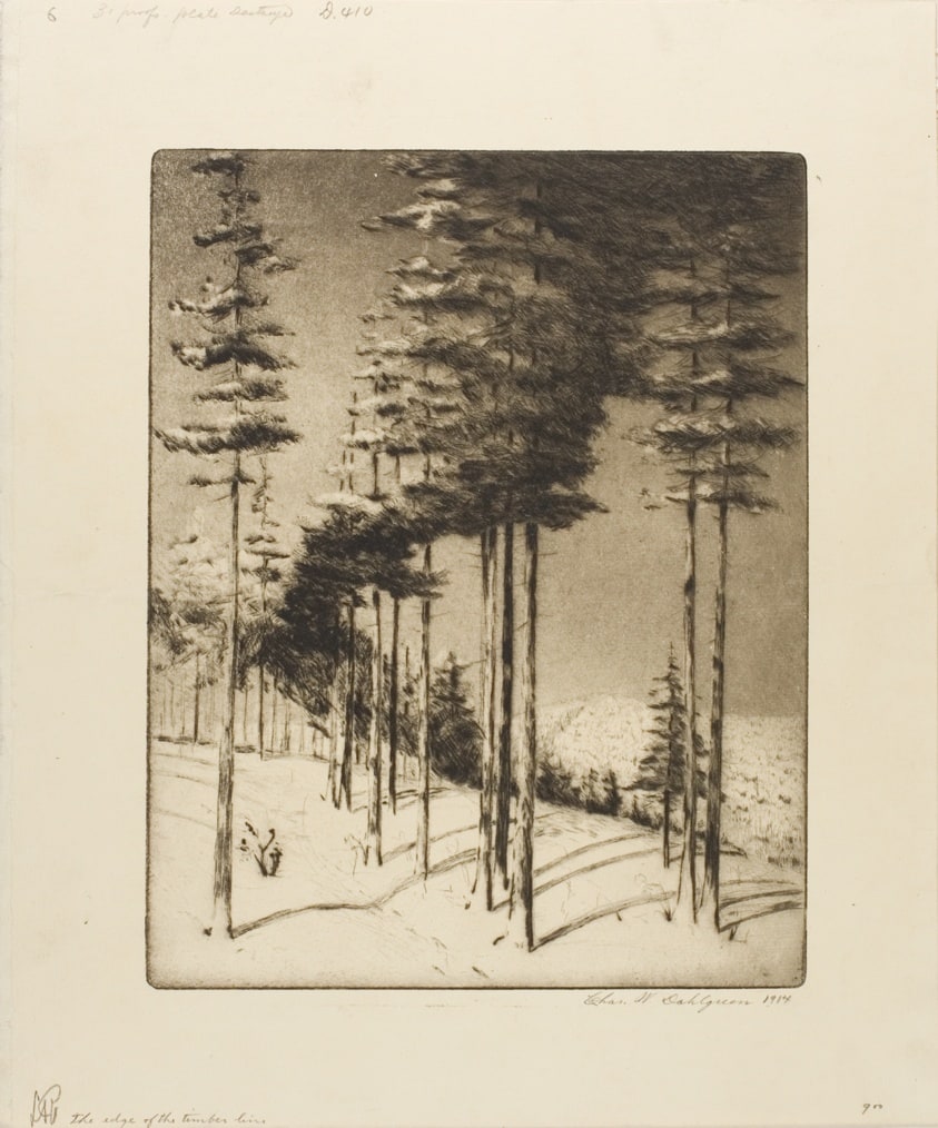 The End of the Timber Line