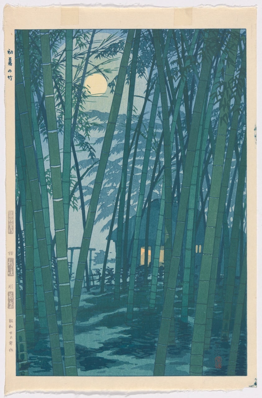 Bamboo in Early Summer