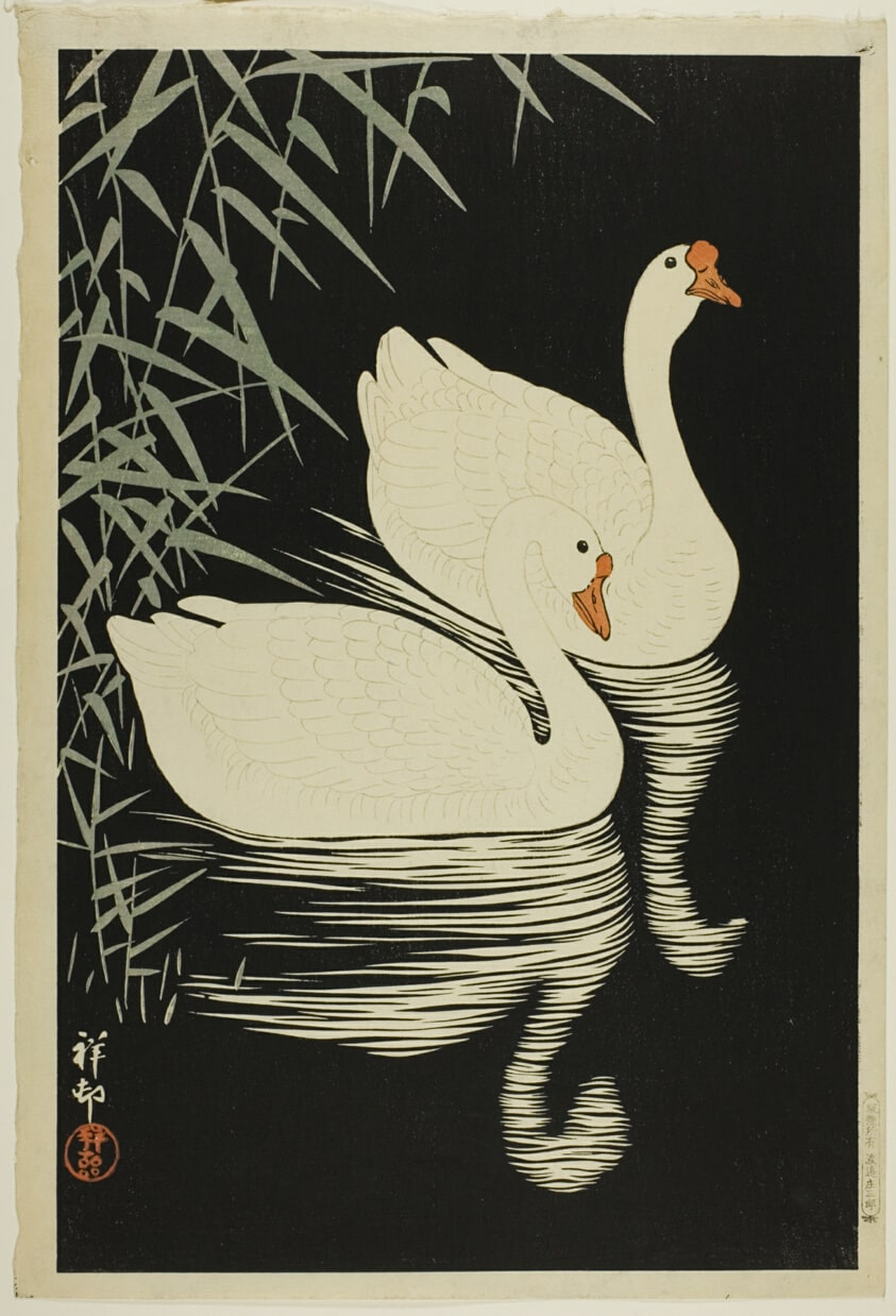 Swan and Reeds