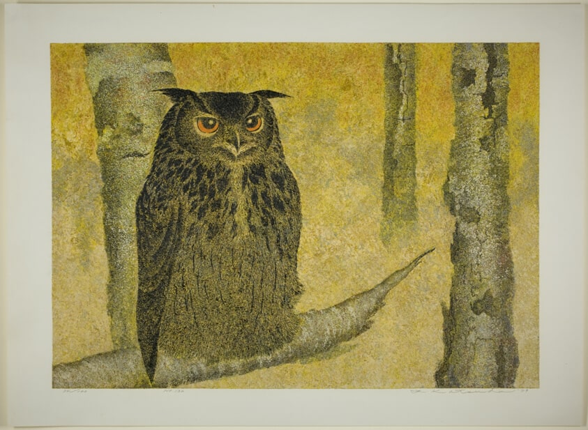 Owl, No. 132