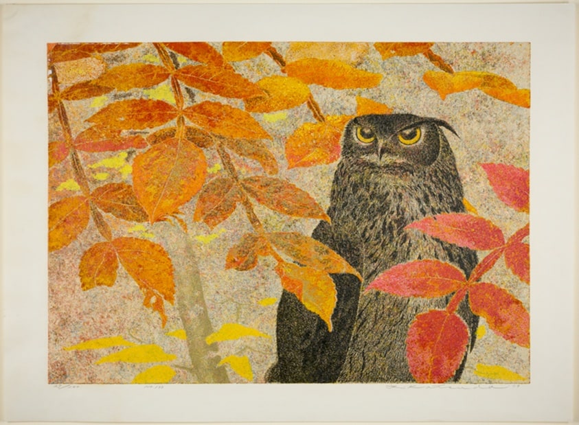 Owl, No. 133
