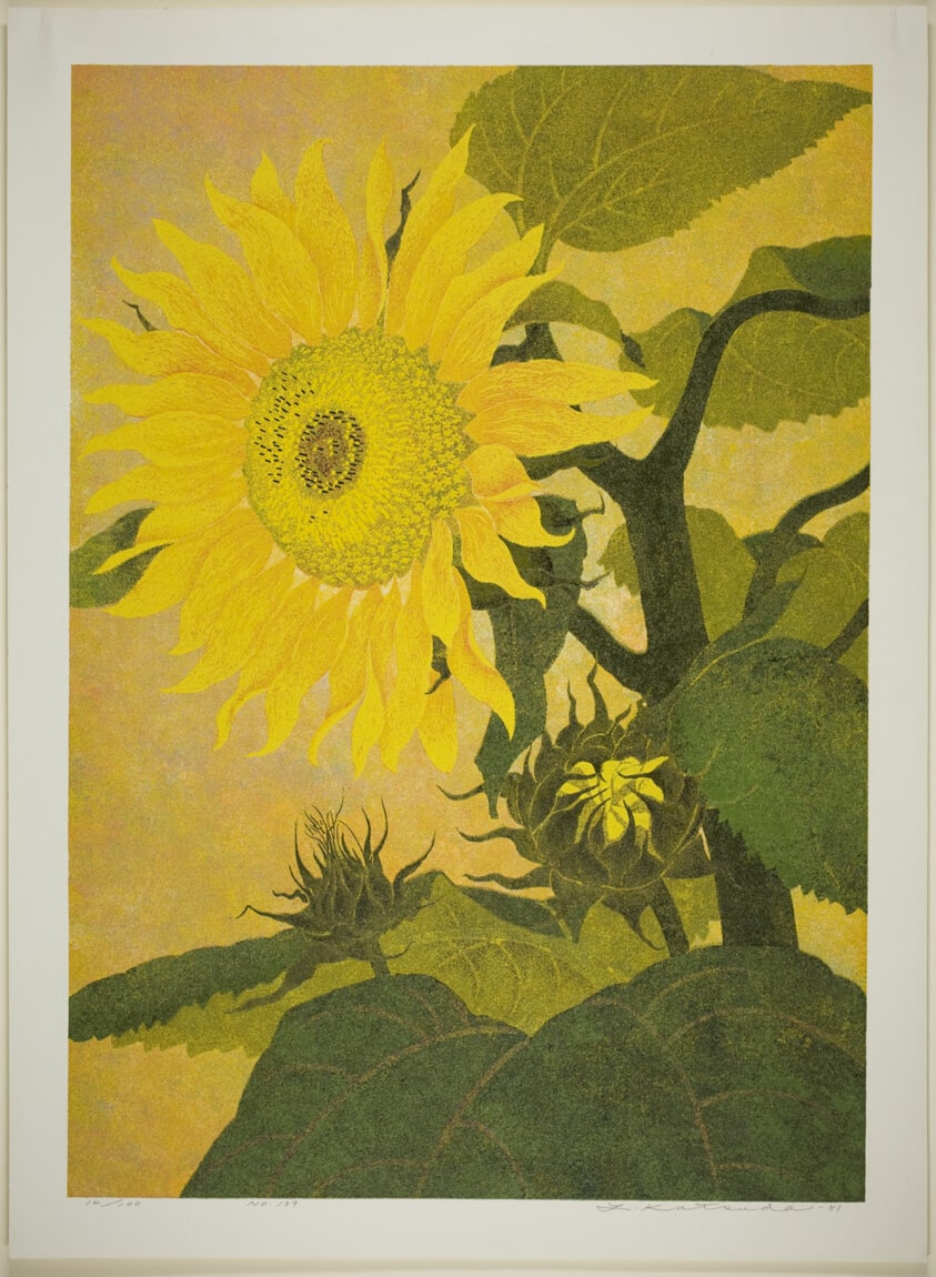 Sunflower, No. 139a