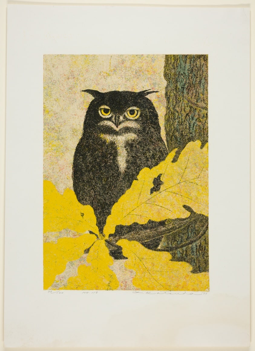 Owl, No. 188