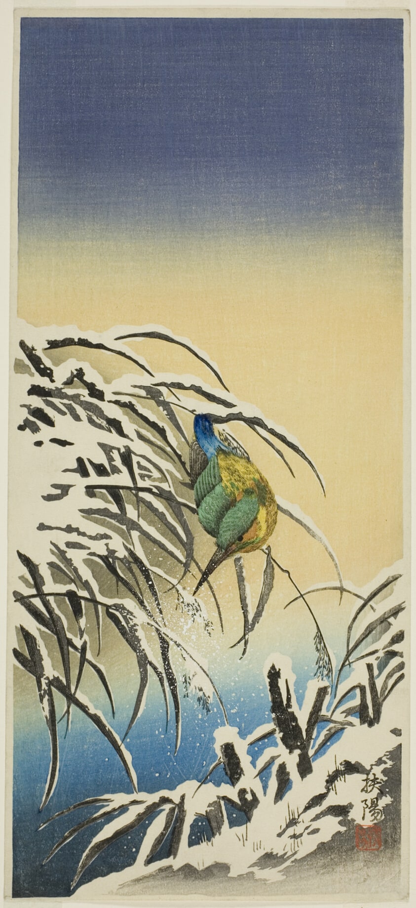 Kingfisher on Snowladden Reeds