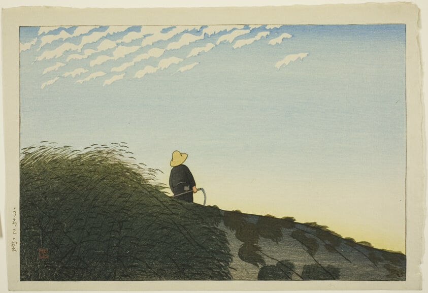 Cirrocumulus Clouds (Uroko-gumo)